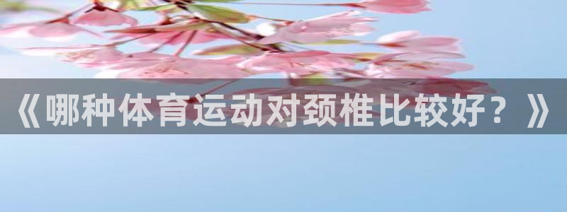 杏鑫5招商