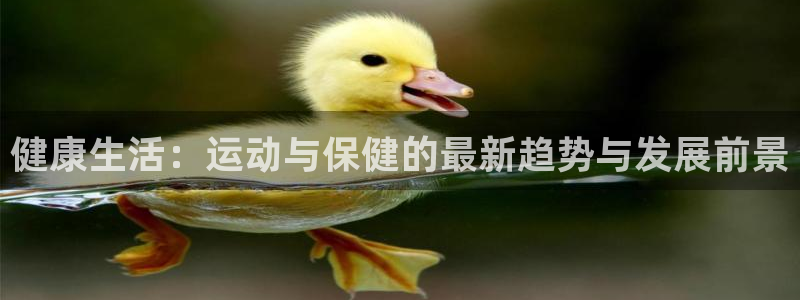杏鑫体育官网