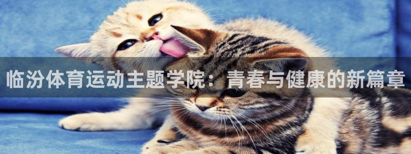 杏鑫体育平台登录入口