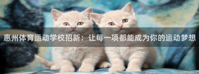 杏鑫体育热门赛事有哪些