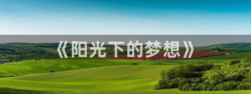 杏鑫f平台注册