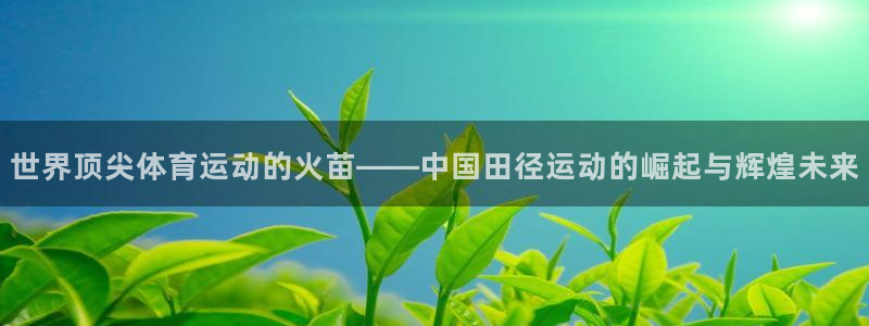 杏鑫凯捷注册