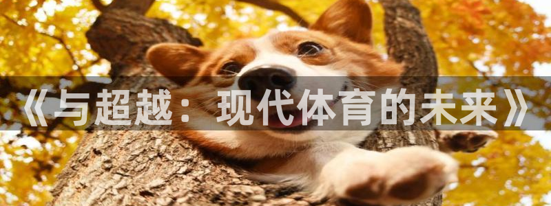 杏鑫集团官网
