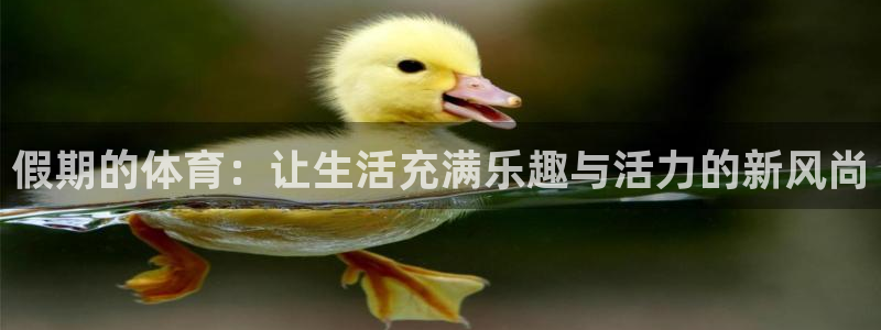 杏鑫凯捷注册