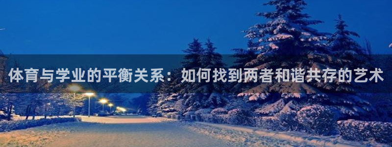杏鑫能源