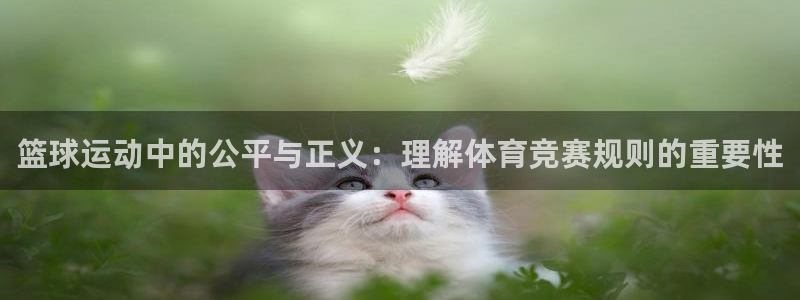 杏鑫代理注册官网入口