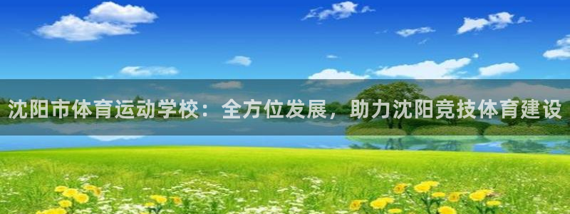 成都杏鑫电子有限公司