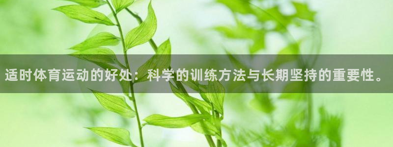 杏鑫凯捷开号链接