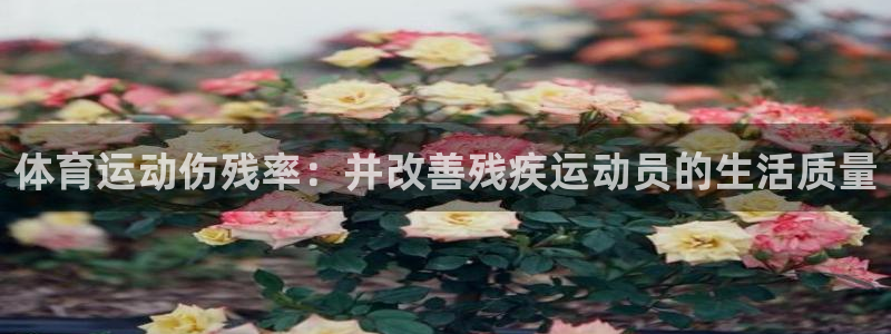 杏鑫3官网