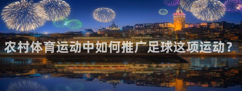 杏鑫能源