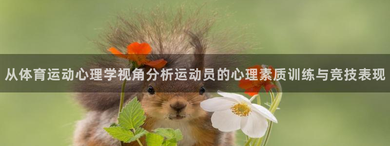 杏鑫集团官网