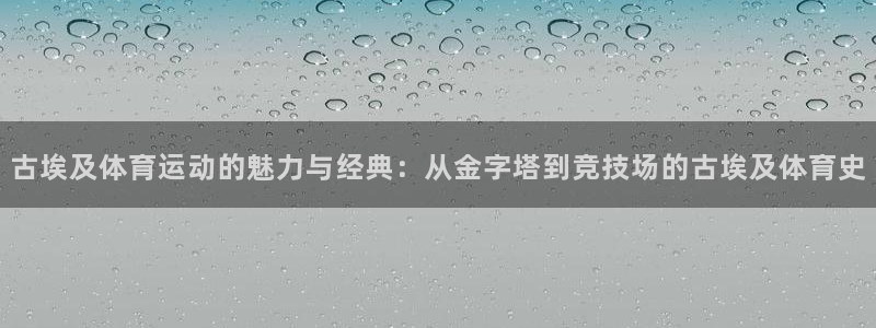 杏鑫代理注册官网入口