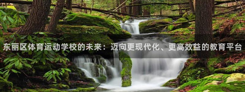 杏鑫f凯捷注册