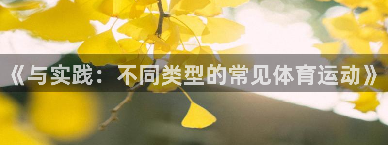 杏鑫体育平台登录入口