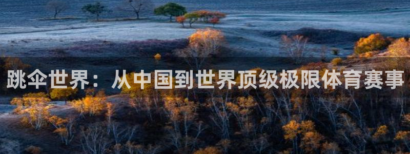 杏鑫能源