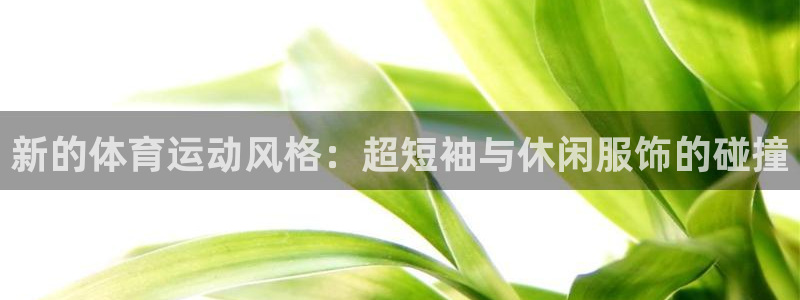 杏鑫kgame
