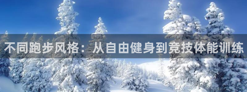杏鑫平台招商