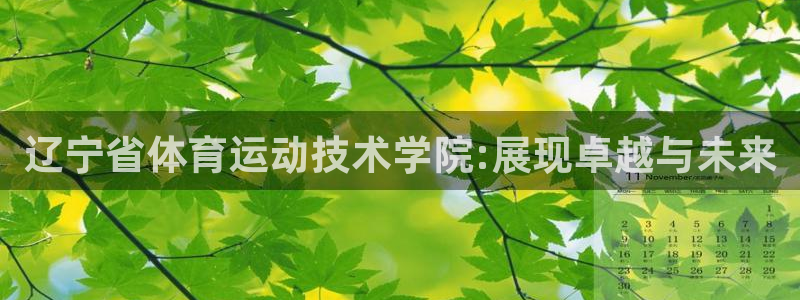 杏鑫集团