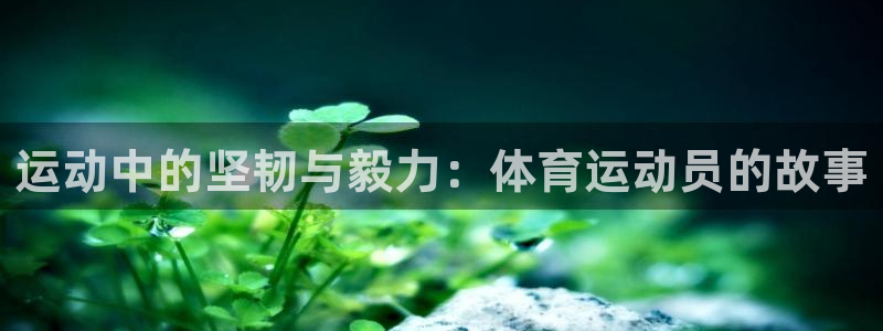 杏鑫体育app下载