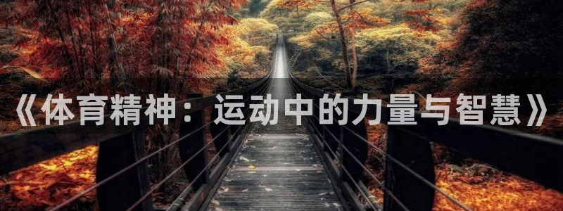 杏鑫5
