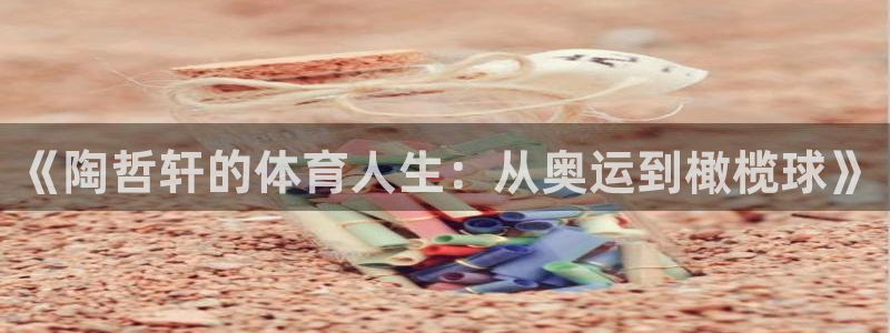 杏鑫体育3在线注册