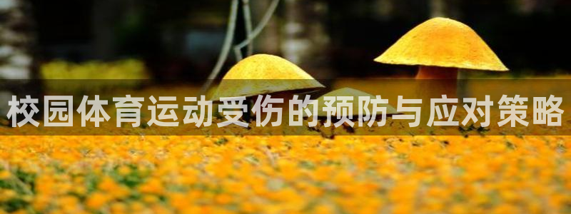 杏鑫体育注册登录入口