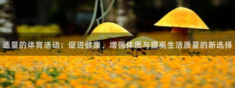 杏鑫体育平台开号链接