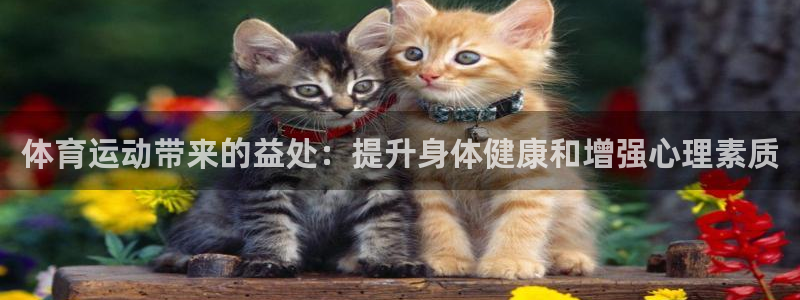 杏鑫体育官网登录